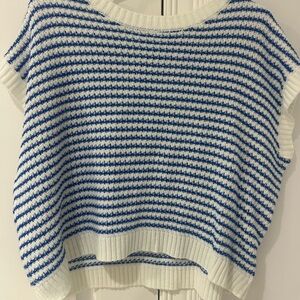 Striped Blue and White Knit Sweater